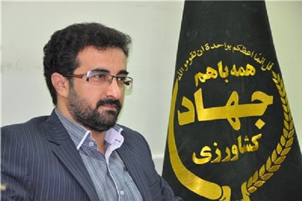 مهندس ولی پور مطلق قهرمان این روزها