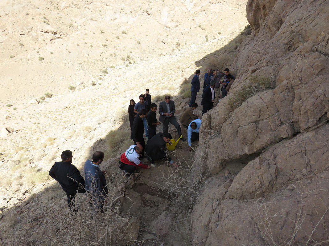 کاشت ۱۰۰ پیاز گل نرگس در کوه نرگسی شهرستان خوسف