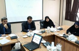 معاون سیاسی، امنیتی و اجتماعی استاندار خراسان جنوبی :ایجاد نشاط و امید از راهکارهای کاهش آسیب های اجتماعی است