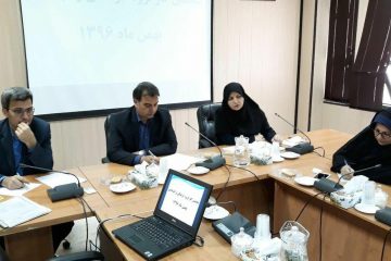 معاون سیاسی، امنیتی و اجتماعی استاندار خراسان جنوبی :ایجاد نشاط و امید از راهکارهای کاهش آسیب های اجتماعی است
