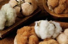 ثبت دانش کشاورزی، فن نخریسی و سنتها و نمودهای شفاهی پنبه مله – شهرستان خوسف در فهرست ملی میراث فرهنگی ناملموس کشور