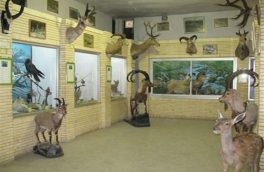 بازدید رایگان از گنجینه تنوع زیستی حفاظت محیط زیست خراسان جنوبی
