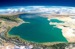 پوست خربزه ای بنام کنوانسیون