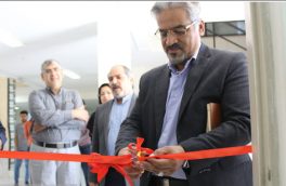 دکتر مهدی وفایی فرد معاون فرهنگی و اجتماعی دانشگاه صنعتی بیرجند شد