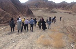 ۶۲ گردشگر خارجی از آثار تاریخی نهبندان دیدن کردند