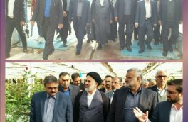 وزیر جهاد کشاورزی از مجتمع پرورش گل رز هزار دستان بیرجند بازدید کرد