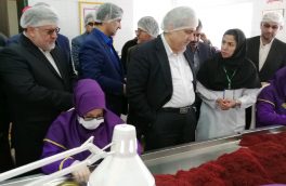 خام فروشی طلای سرخ صدای معاونت علمی رییس جمهور را هم در آورد