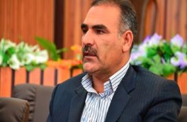 اعلام آمادگی شهرداری بیرجند برای مرمت ارگ در حال تخریب بهارستان