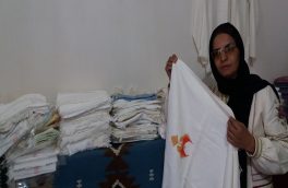حمایت دولت از مشاغل خانگی موجب رونق تولید می شود