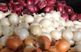 گوشت ، پسته ، پیاز ، باران