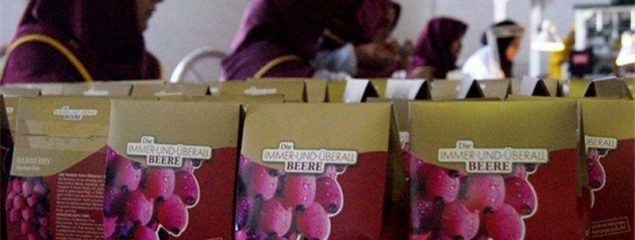 فعالیت ۱۰ کارخانه فرآوری زرشک در خراسانجنوبی