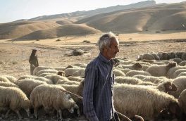 کارت هوشمند برای سهولت در ارائه خدمات رفاهی به عشایر استان صادر میشود