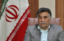 تولید بیش از ۶۳ هزار تن گندم در خراسانجنوبی
