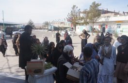 خدمات‌رسانی به زائران پاکستانی از محل موقوفات در خراسانی جنوبی