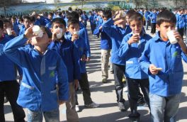 ۱۴۲ هزار دانش‌آموز خراسان جنوبی از شیر رایگان بهره‌مند می‌شوند