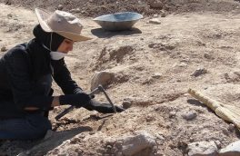 آغاز چهارمین همایش ملی باستان‌شناسی در دانشگاه بیرجند