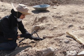آغاز چهارمین همایش ملی باستان‌شناسی در دانشگاه بیرجند