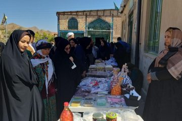 وجود تعداد ۲۱۸ صندوق خرد زنان نشان از توانمندی زنان روستایی استان خراسان جنوبی دارد
