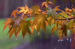 تداوم بارشهای پاییزی در خراسان جنوبی تا پایان هفته