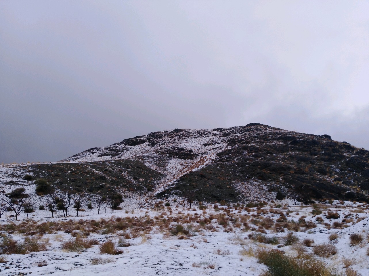 طبیعت زیبای برفی ارتفاعات بیرجند عکس موبایلی ابوالفضل حسن پور 