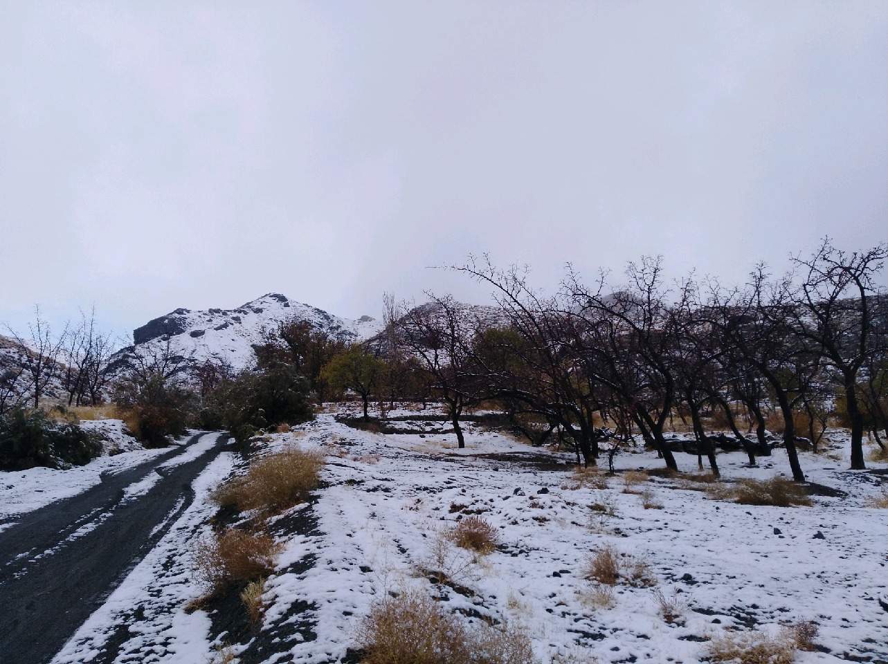 طبیعت زیبای برفی ارتفاعات بیرجند عکس موبایلی ابوالفضل حسن پور 