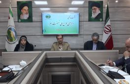 طرح ملی نهضت سبز در خراسان جنوی اجرایی می شود