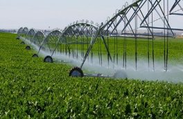 توصیه های کارشناسی به کشاورزان در پی کاهش دما در خراسان جنوبی