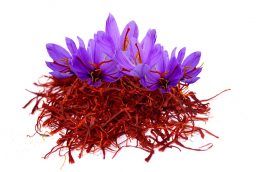 خرید حمایتی زعفران در خراسان جنوبی  ادامه دارد