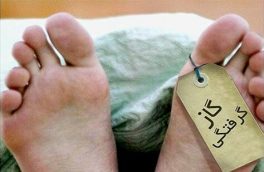 مسافران جاده ای در خراسان جنوبی قربانی مرگ خاموش شدند