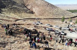 طرح جنگلانه همزمان با سراسر کشور با حضور دوستداران طبیعت در دامنه قلعه کوه قاین اجرا شد.