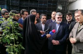 با هم افزایی و تلاش همه دستگاه‌ها و سرمایه‌گذاران در استان هدفگذاری برای توسعه گلخانه‌ها محقق می شود