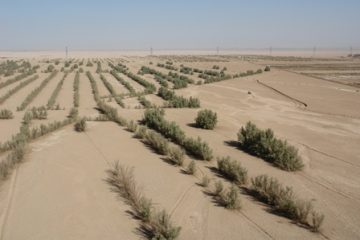 تصویب ۷۸ میلیارد و ۳۰۰ میلیون تومان اعتبار برای مقابله با بیابان زایی در خراسان جنوبی