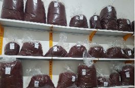 خرید حمایتی حدود ۳ هزار کیلوگرم زعفران خشک در استان