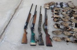 چهار شکارچی غیرمجاز در زیرکوه دستگیر شدند