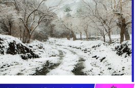 زیبایی برف در کوه های باقران بیرجند بر شاخسار درختان عناب عکاس ابوالفضل حسن پور 