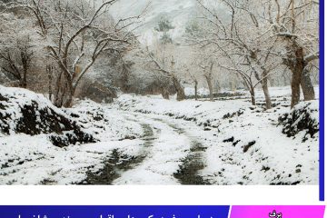 زیبایی برف در کوه های باقران بیرجند بر شاخسار درختان عناب عکاس ابوالفضل حسن پور 