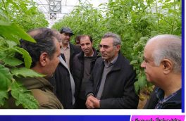 مشکل آب مجتمع گلخانهای خوسف رفع میشود