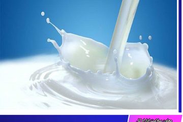 اجرای طرح پایش شیر خام تولیدی در خراسان جنوبی