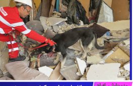 انفجار منزل مسکونی در بیرجند جان ۲ نفر را گرفت