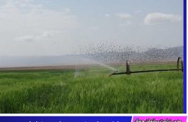 کشت بهاره برخی محصولات در خراسان جنوبی به پاییز تغییر یافت