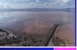 ۸۰ درصد تالاب کجی نهبندان آبگیری شد