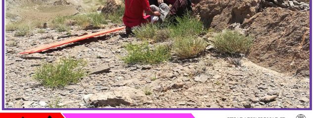جستجوی ۴ساعته برای یافتن جوان گمشده در ارتفاعات درح سربیشه