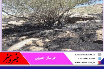 هشدار آتش سوزی احتمالی در مناطق حفاظت شده خراسان جنوبی