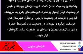 مراجعه بیماران تنفسی به بیمارستان‌های خراسان جنوبی افزایش یافت