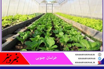 واحدهای گلخانه‌ای خراسان جنوبی با زیرساخت لازم واگذار می‌شود