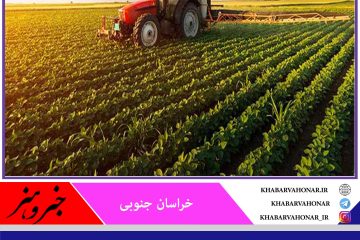 مراکز خدمات کشاورزی در ۵۱ دهستان خراسان جنوبی راه‌اندازی می‌شود