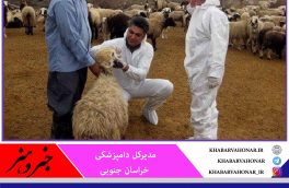 بیماری‌های مشترک انسان و دام هنگام ذبح قربانی جدی گرفته شود