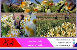 خراسان ‌جنوبی رتبه پنجم تولید گل نرگس در کشور  و خوسف هم در استان رتبه نخست