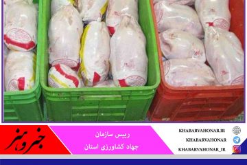 ? آغاز توزیع ۳۰۰ تُن مرغ منجمد در خراسان جنوبی با قیمت ۱۵هزار تومان برای مصرف کننده