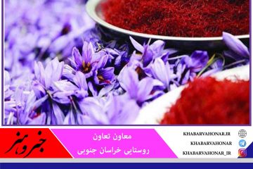 چهار مرکز خرید حمایتی زعفران از کشاورزان استان در شهرستان‌های بیرجند، قاینات، فردوس و سرایان فعال است